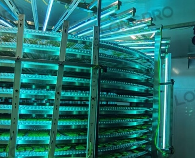 食品廠防爆紫外線殺菌燈：保障食品生產(chǎn)環(huán)境安全的利器！